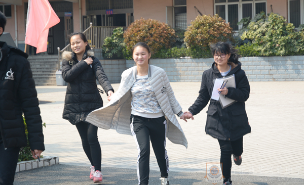图片10_副本.png